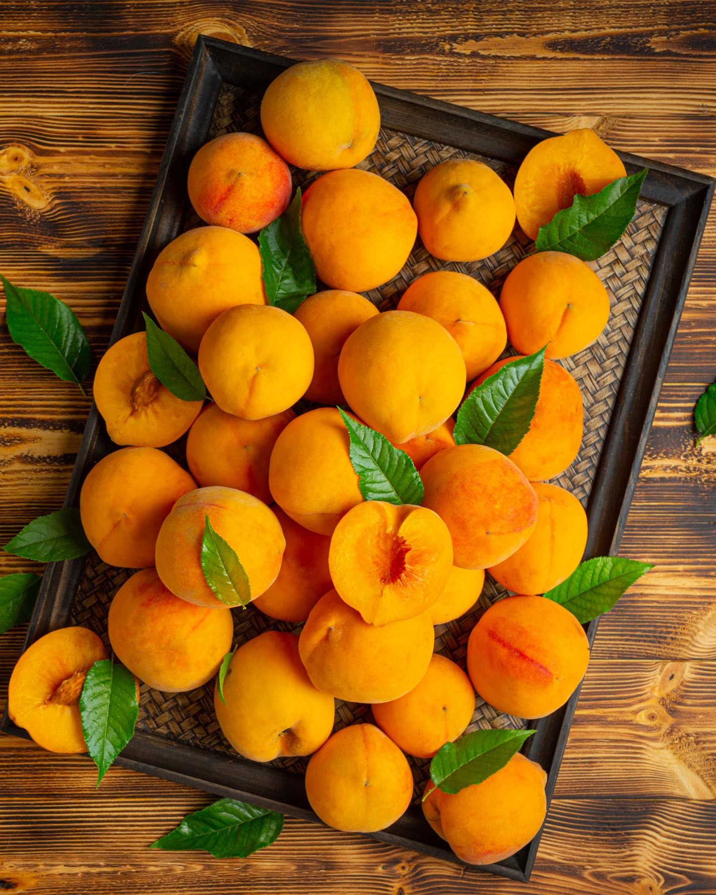 Apricot